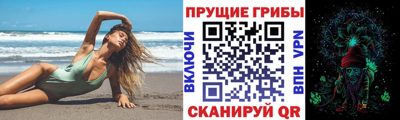 что такое наркотик Елизово Галлюциногенные грибы MAGIC MUSHROOMS